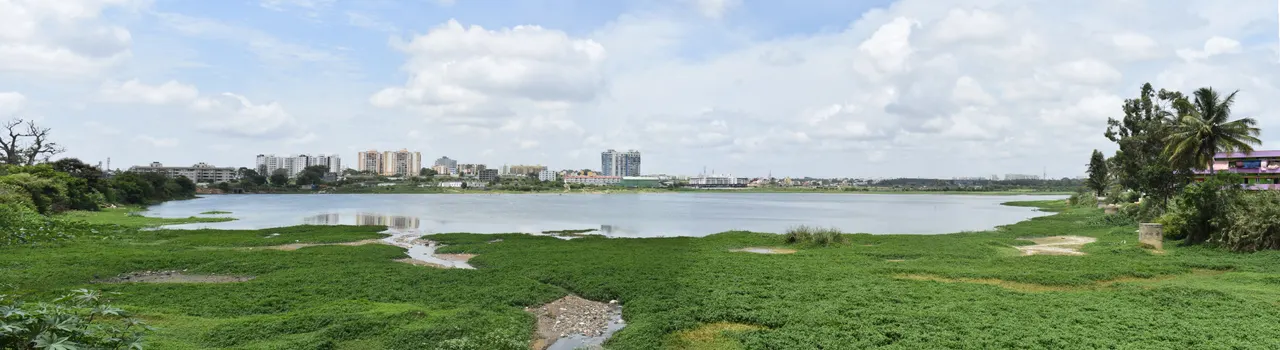 Begur-Lake-Bangalore.