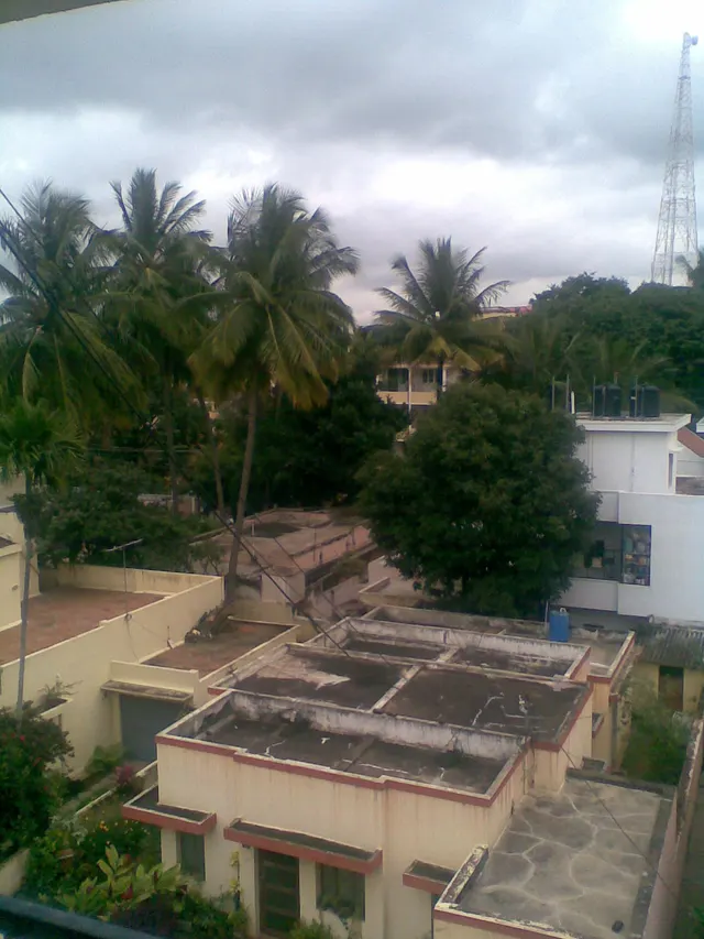 A historical view over homes and trees in Cooke Town.