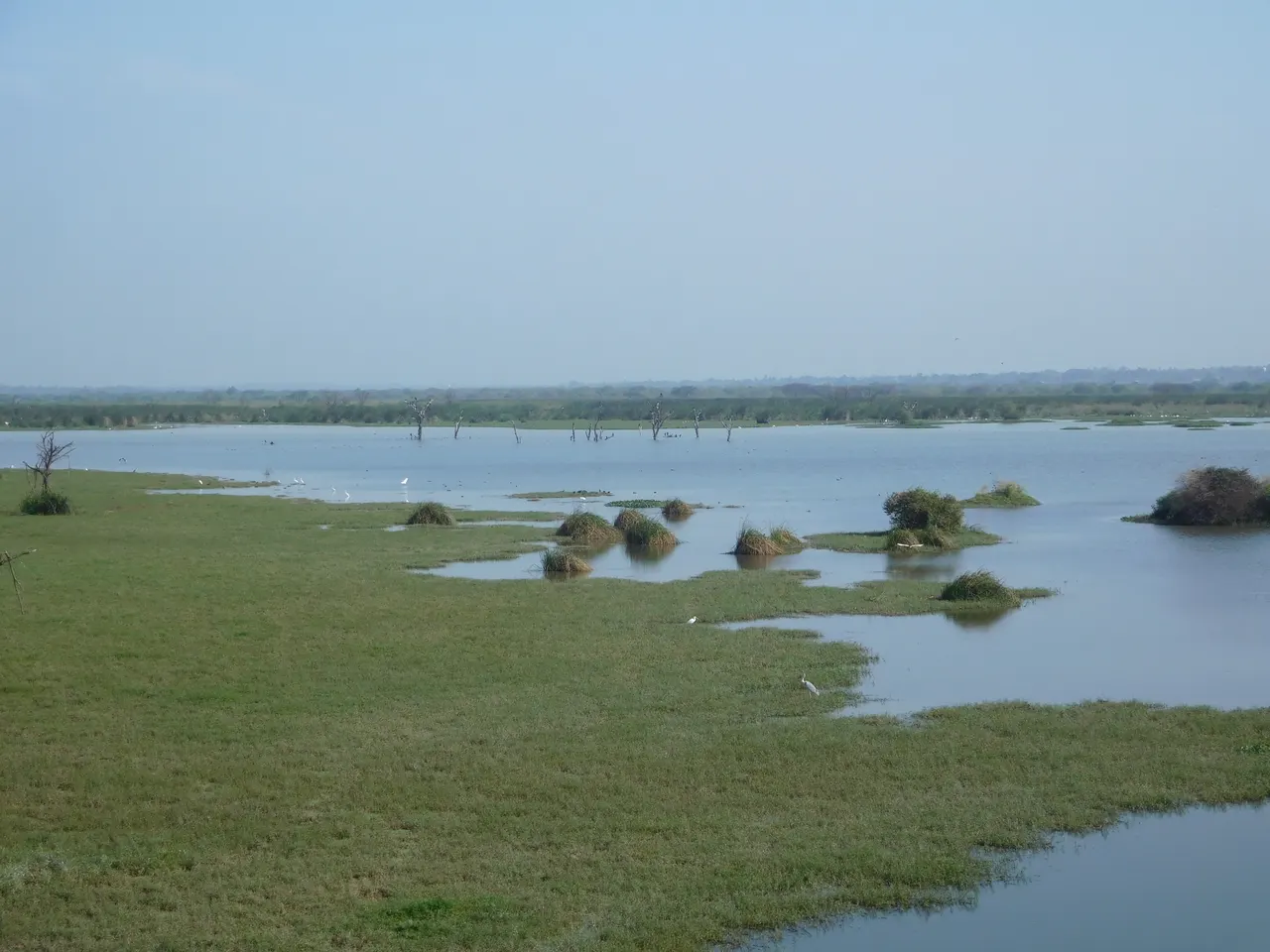 Hoskote Lake.