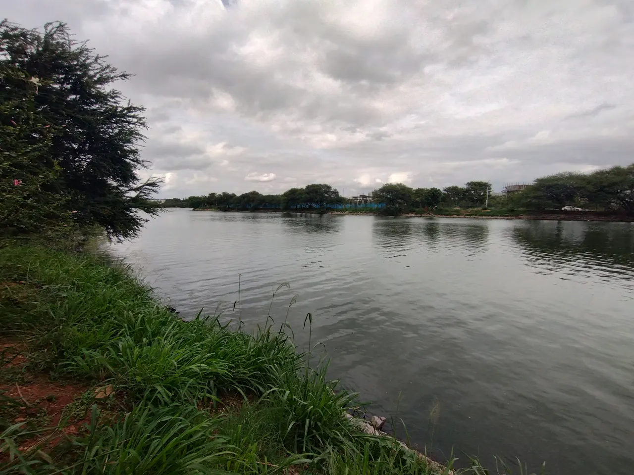 Jakkur lake, Bangalore (2025) 03.