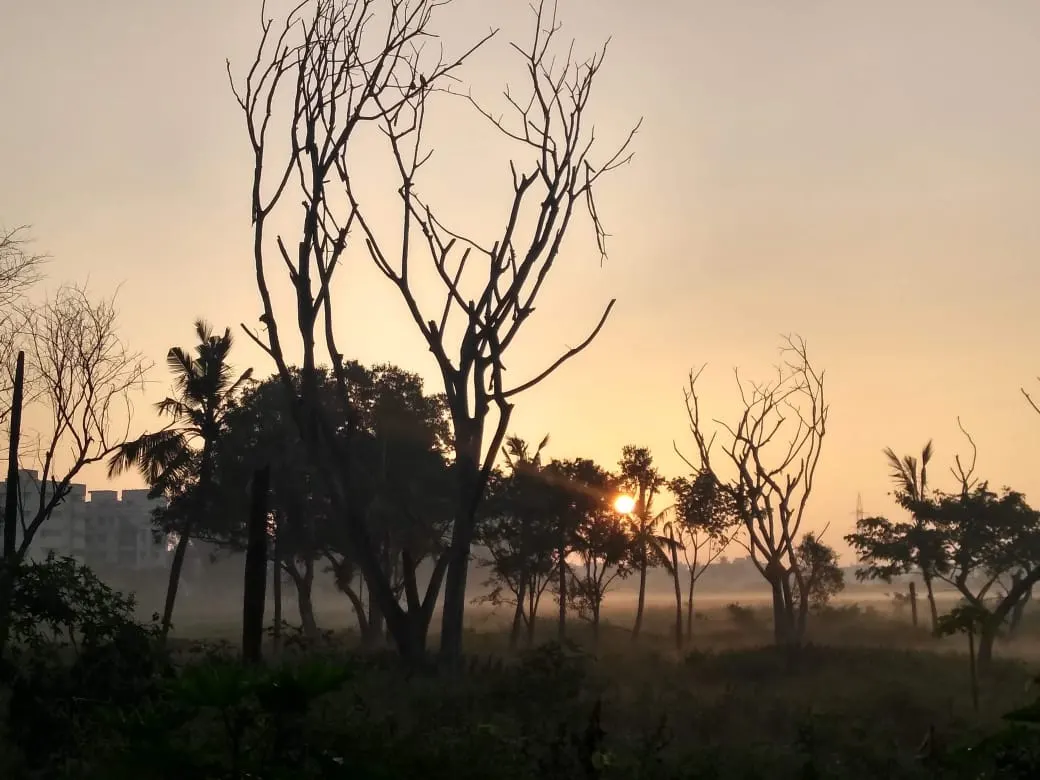Morning views in Kaggadasapura.
