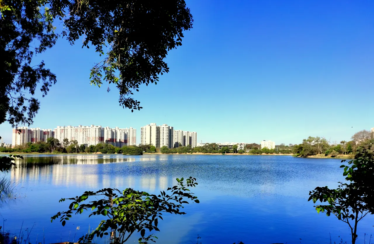 Kasavanahalli lake.
