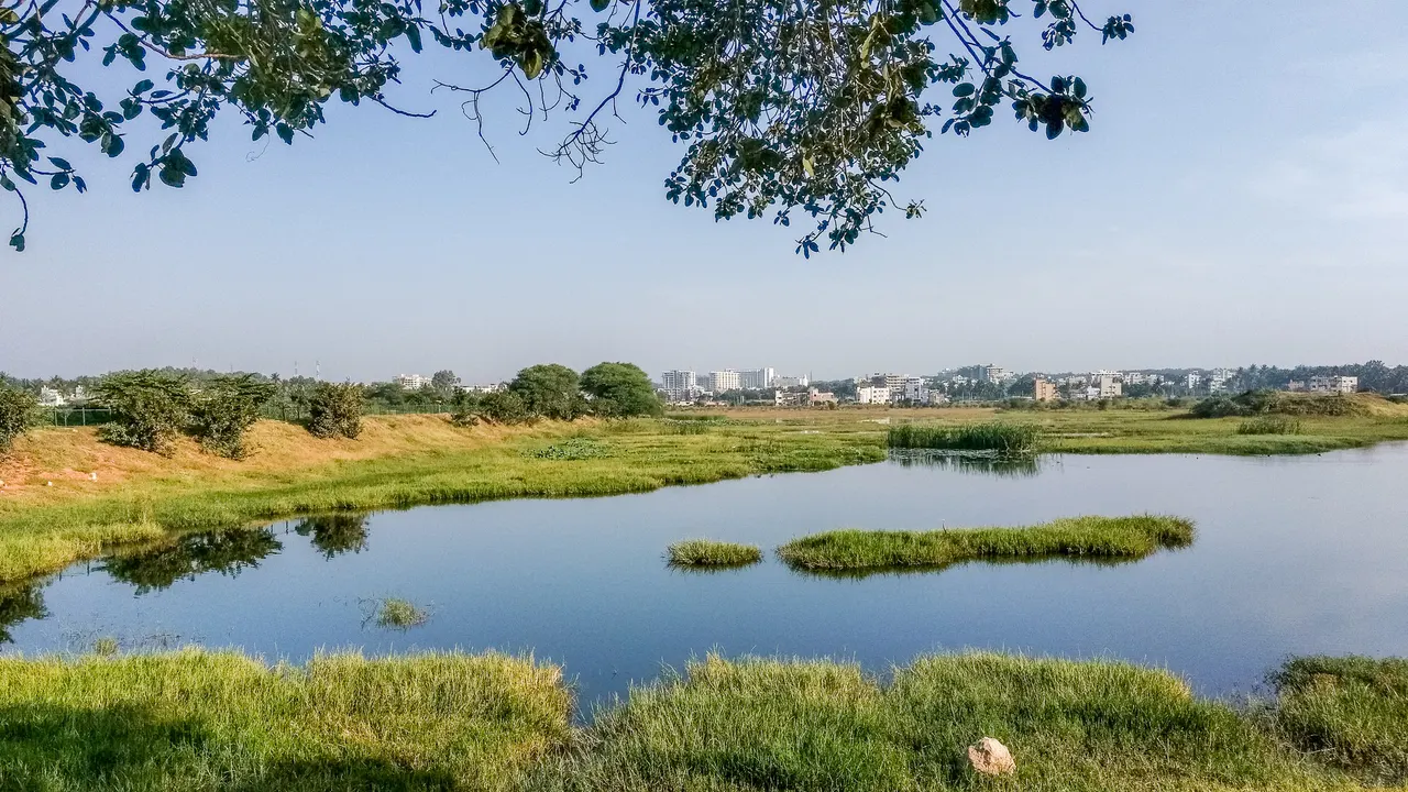 Kogilu Kere (30631866706).
