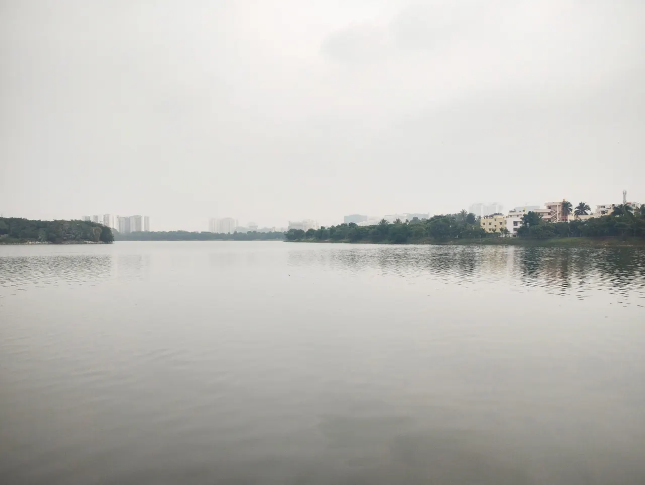 Rachenahalli lake (2024) 19.