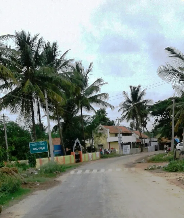 Vasanthapura (1).