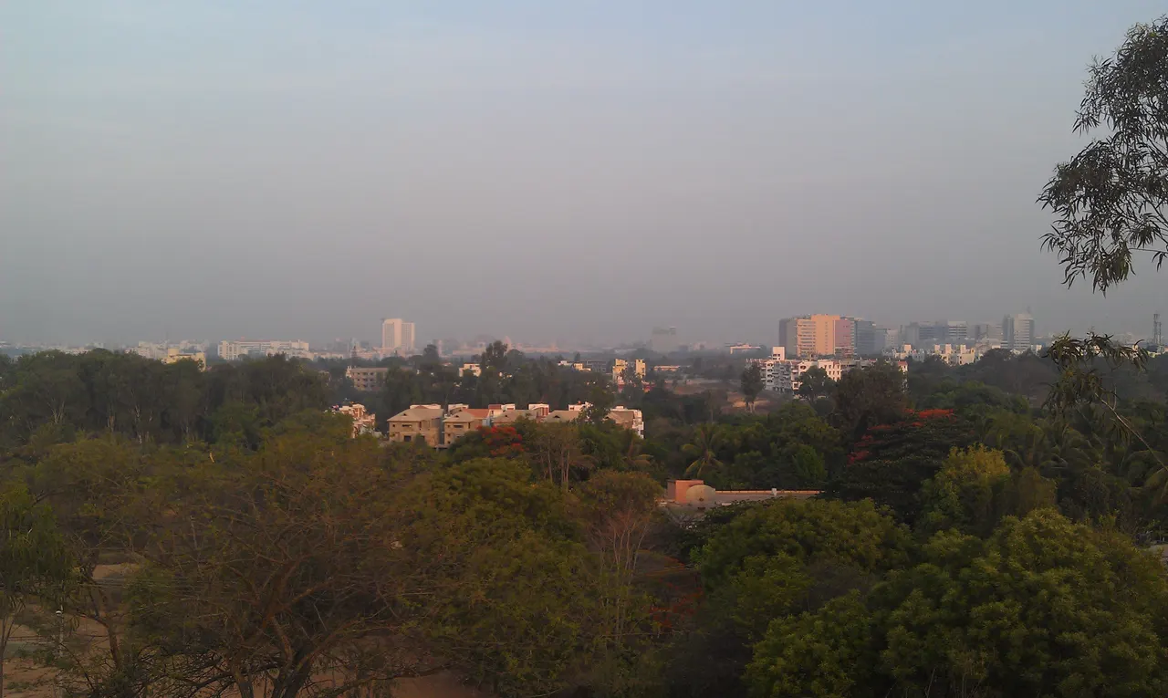 Whitefield view.