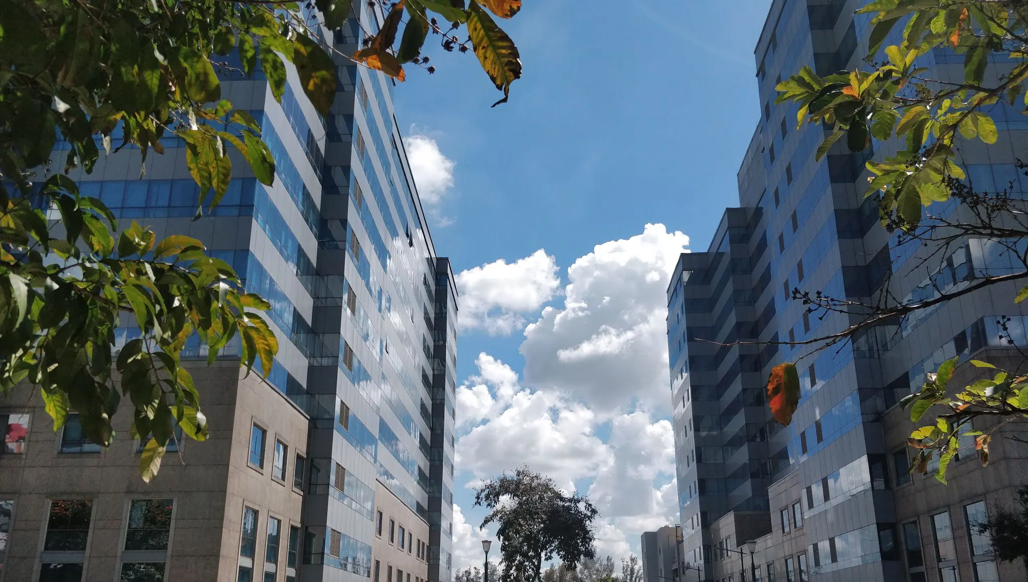 International Tech Park, Bengaluru in Bengaluru.